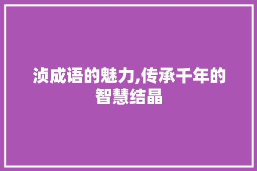 浈成语的魅力,传承千年的智慧结晶