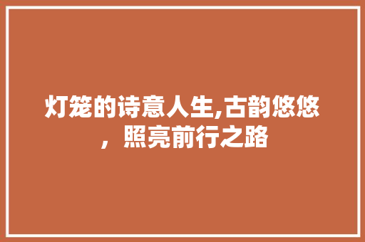 灯笼的诗意人生,古韵悠悠，照亮前行之路
