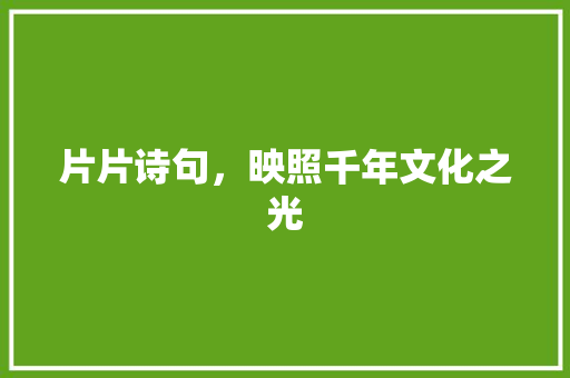 片片诗句，映照千年文化之光