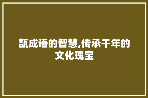 瓿成语的智慧,传承千年的文化瑰宝