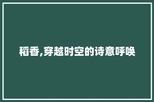 稻香,穿越时空的诗意呼唤