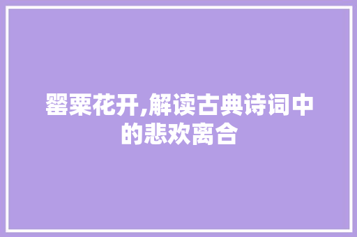 罂粟花开,解读古典诗词中的悲欢离合 问答