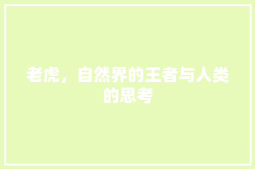 老虎，自然界的王者与人类的思考