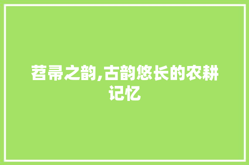 苕帚之韵,古韵悠长的农耕记忆