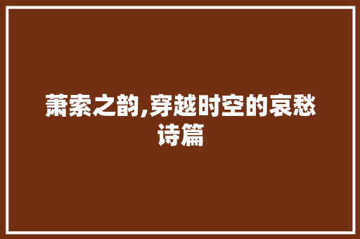 萧索之韵,穿越时空的哀愁诗篇 成语汇编