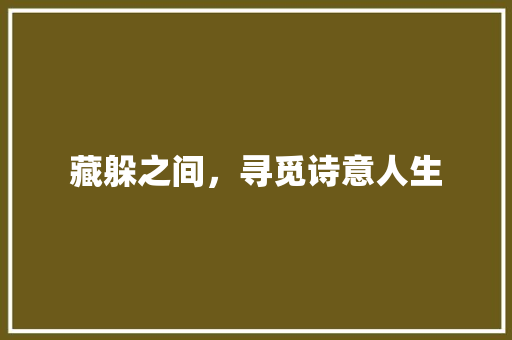 藏躲之间，寻觅诗意人生