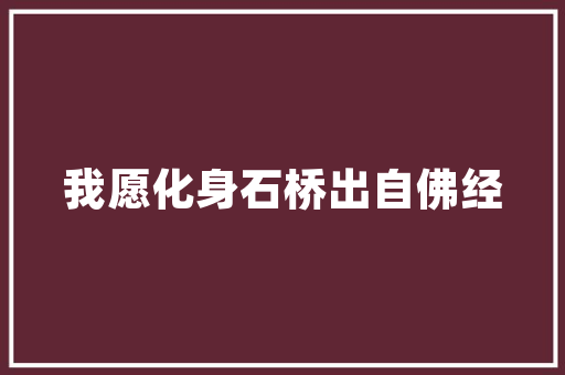 衭成语之智慧,传承与启迪