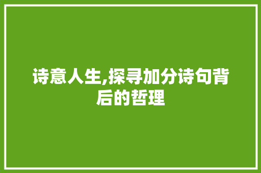 诗意人生,探寻加分诗句背后的哲理 古代典籍