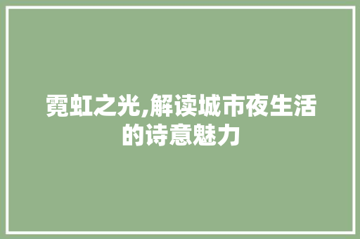 霓虹之光,解读城市夜生活的诗意魅力
