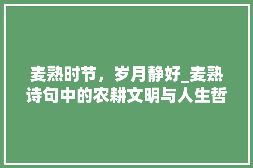 麦熟时节，岁月静好_麦熟诗句中的农耕文明与人生哲理