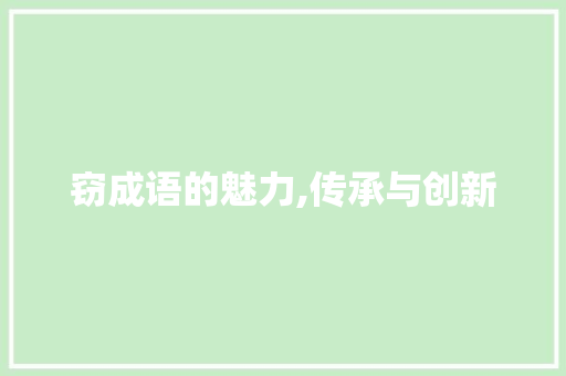 窃成语的魅力,传承与创新