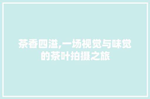 茶香四溢,一场视觉与味觉的茶叶拍摄之旅