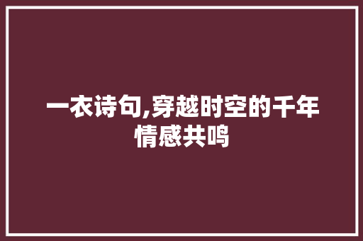 一衣诗句,穿越时空的千年情感共鸣