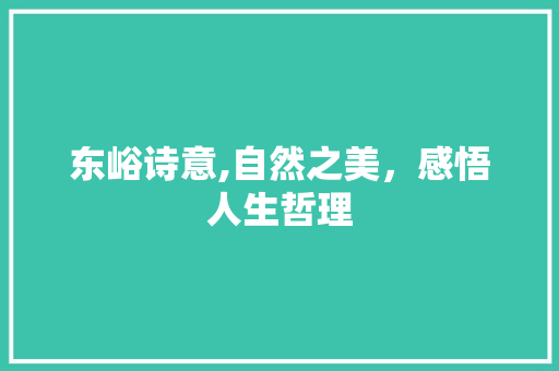 东峪诗意,自然之美，感悟人生哲理 短语