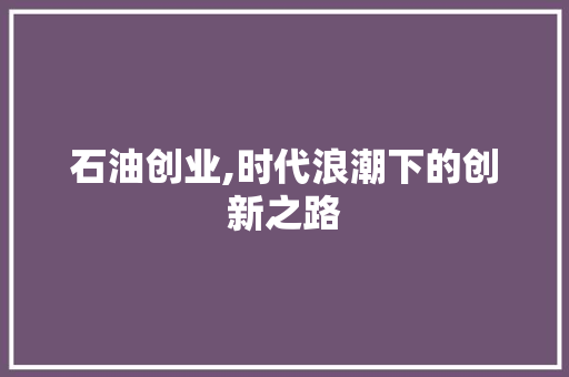 石油创业,时代浪潮下的创新之路