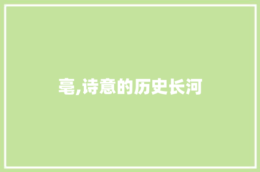 亳,诗意的历史长河
