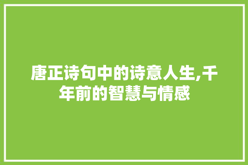唐正诗句中的诗意人生,千年前的智慧与情感
