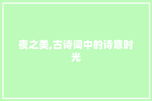 夜之美,古诗词中的诗意时光