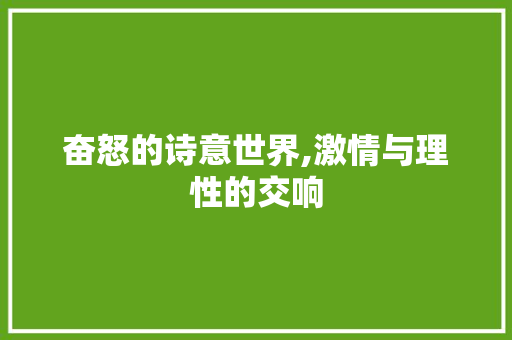 奋怒的诗意世界,激情与理性的交响
