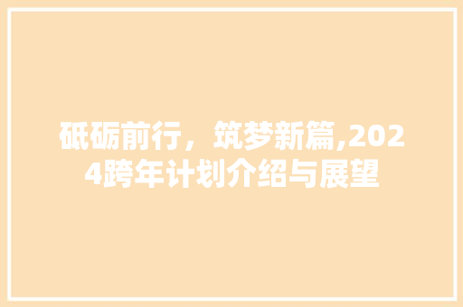 砥砺前行，筑梦新篇,2024跨年计划介绍与展望