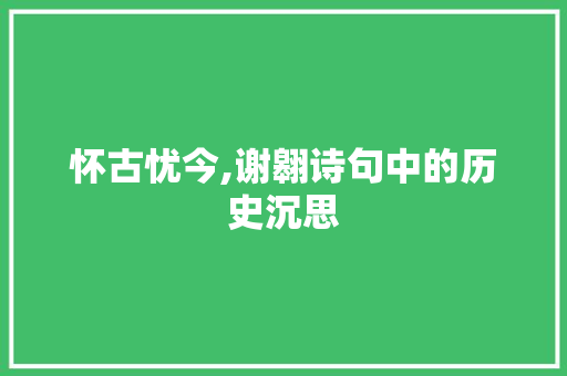 怀古忧今,谢翱诗句中的历史沉思