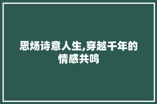 思炀诗意人生,穿越千年的情感共鸣 汉字拼音
