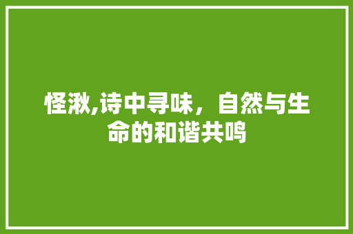 怪湫,诗中寻味，自然与生命的和谐共鸣