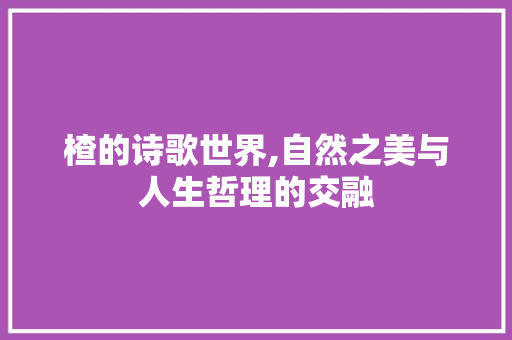 楂的诗歌世界,自然之美与人生哲理的交融