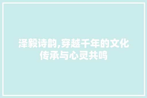 泽毅诗韵,穿越千年的文化传承与心灵共鸣