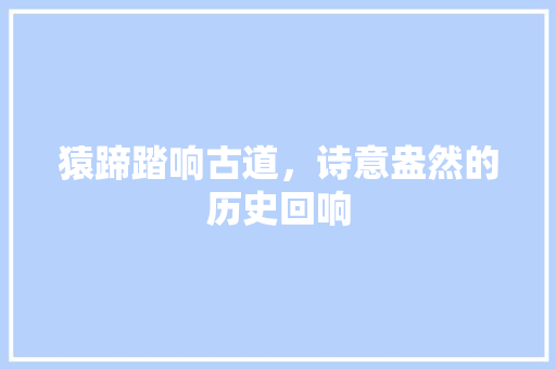 猿蹄踏响古道，诗意盎然的历史回响