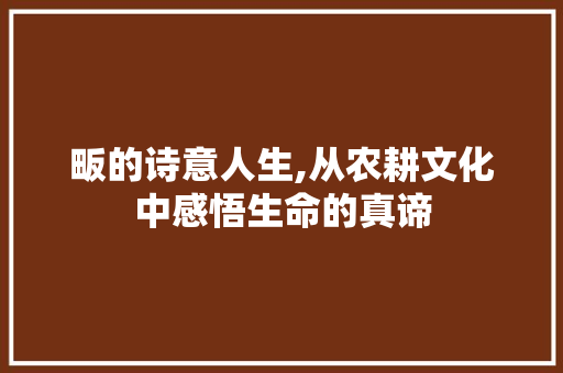 畈的诗意人生,从农耕文化中感悟生命的真谛
