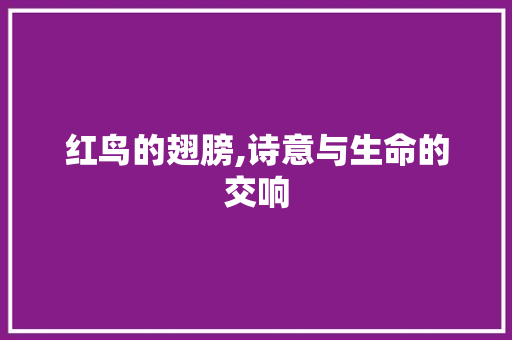 红鸟的翅膀,诗意与生命的交响