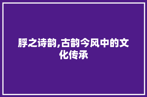 脬之诗韵,古韵今风中的文化传承