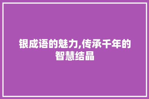 银成语的魅力,传承千年的智慧结晶