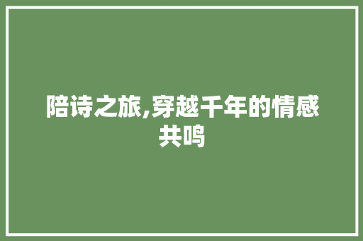 陪诗之旅,穿越千年的情感共鸣