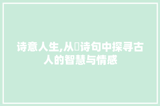 诗意人生,从湳诗句中探寻古人的智慧与情感