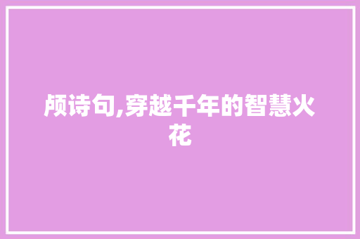 颅诗句,穿越千年的智慧火花
