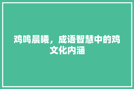 鸡鸣晨曦，成语智慧中的鸡文化内涵
