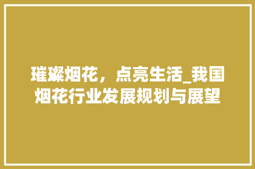 璀璨烟花，点亮生活_我国烟花行业发展规划与展望