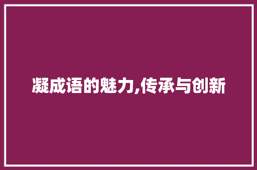凝成语的魅力,传承与创新