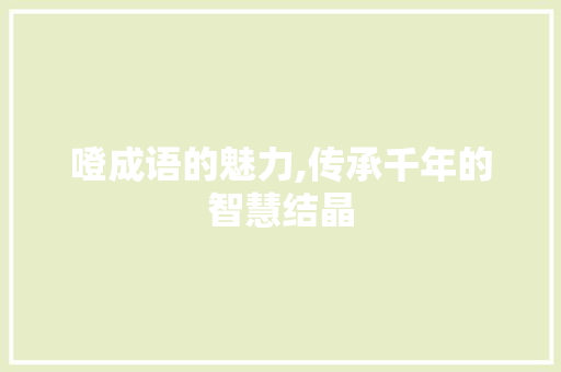 噔成语的魅力,传承千年的智慧结晶