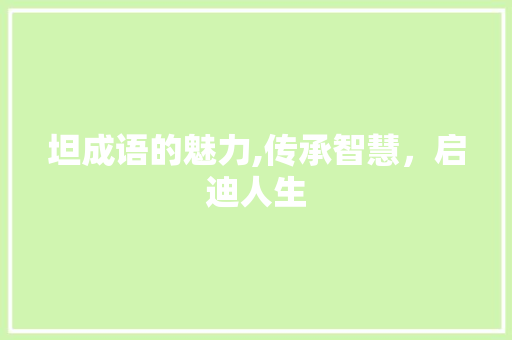 坦成语的魅力,传承智慧，启迪人生