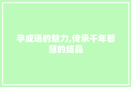 孕成语的魅力,传承千年智慧的结晶