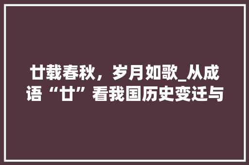 廿载春秋，岁月如歌_从成语“廿”看我国历史变迁与文化传承