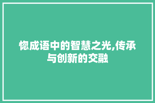 惚成语中的智慧之光,传承与创新的交融