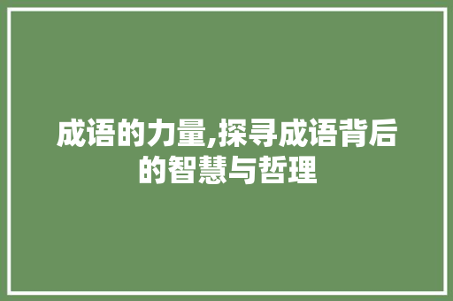 成语的力量,探寻成语背后的智慧与哲理