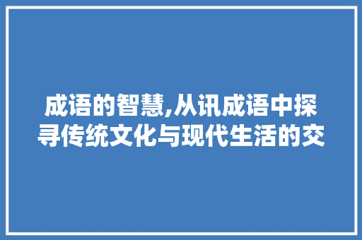 成语的智慧,从讯成语中探寻传统文化与现代生活的交融