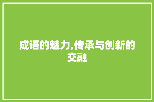 成语的魅力,传承与创新的交融