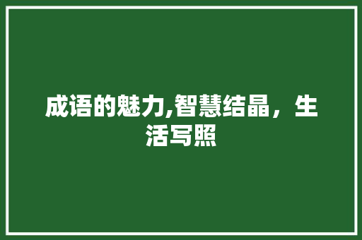 成语的魅力,智慧结晶，生活写照