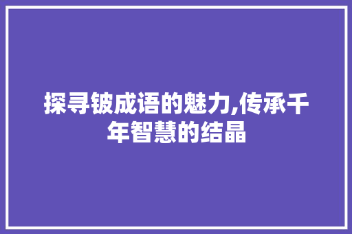 探寻铍成语的魅力,传承千年智慧的结晶
